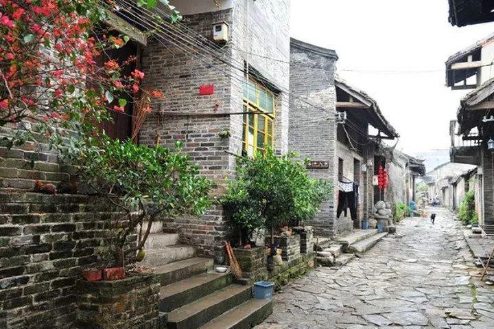 动物帮帮忙保卫家园