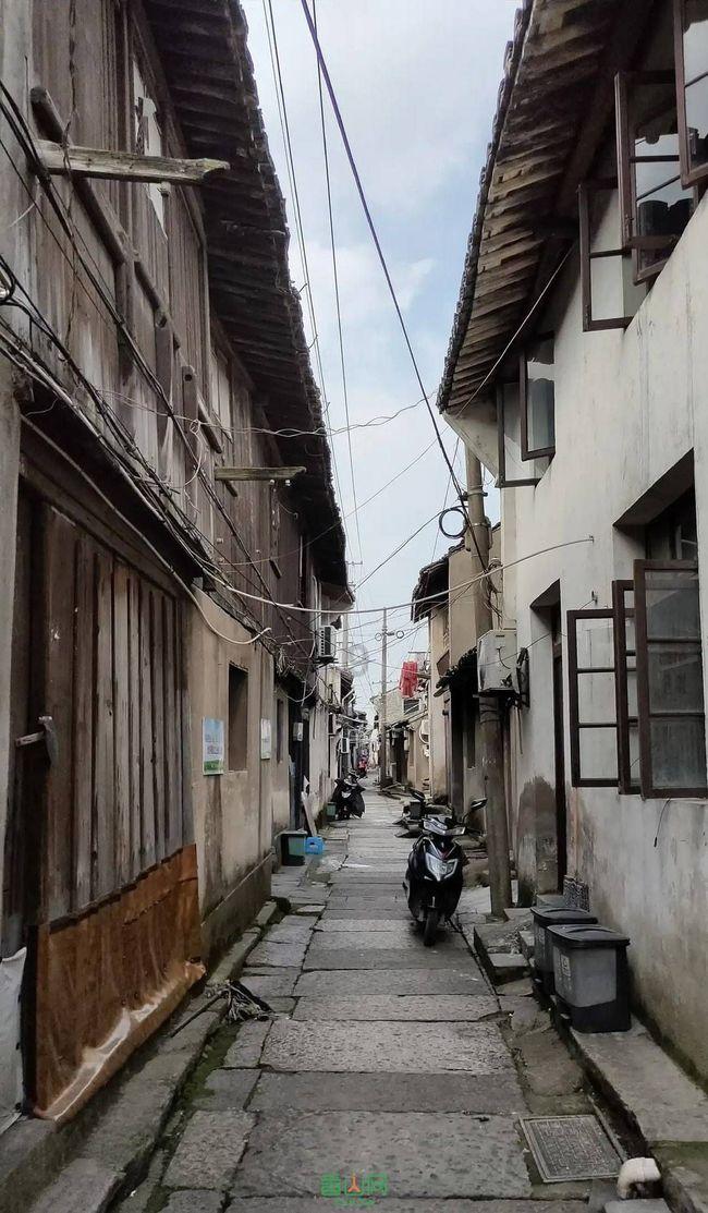 小猫钓鱼正版下载中文版